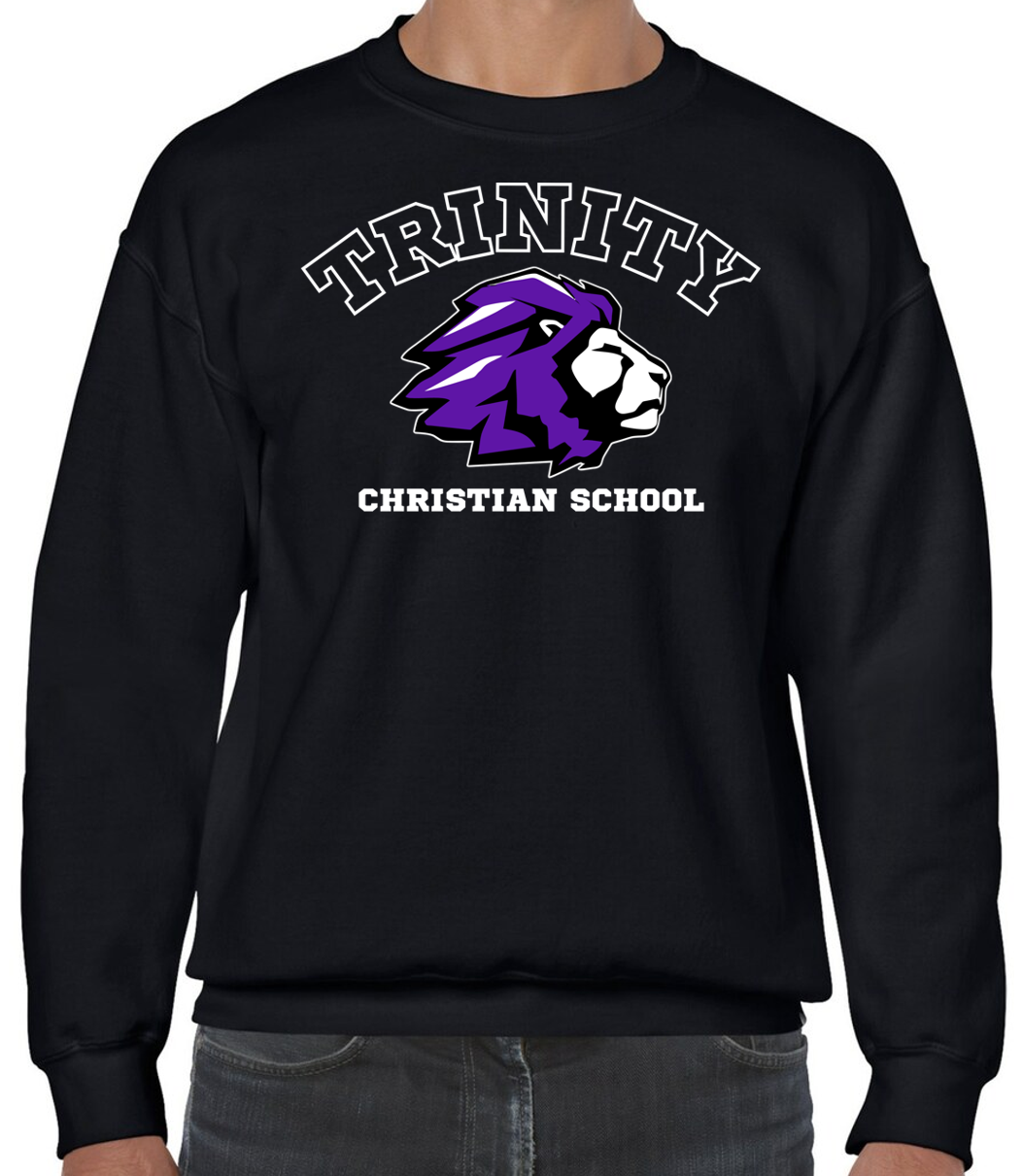 Christian crewneck sweatshirt shop
